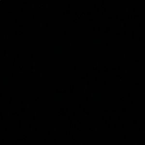 Meet your Posher, Leandre